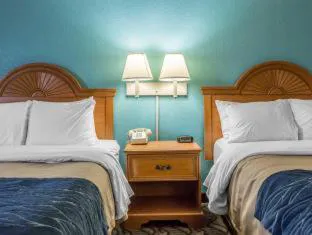 Quality Inn & Suites hotel detail image 1