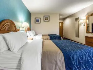 Quality Inn & Suites hotel detail image 2