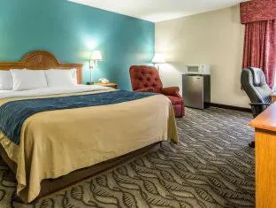 Quality Inn & Suites hotel detail image 3