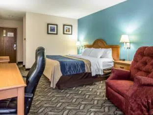 Quality Inn & Suites hotel detail image 4