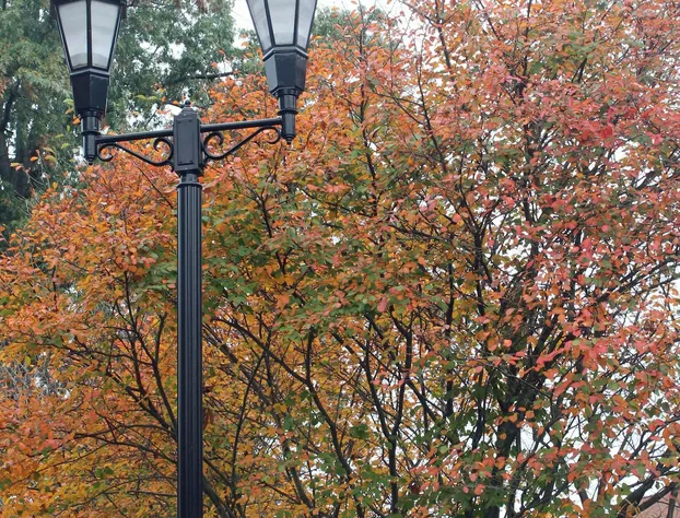 Hampton Inn Gallipolis hotel detail image 1