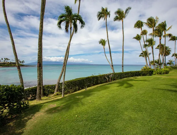 Napili Kai Beach Resort hotel detail image 3