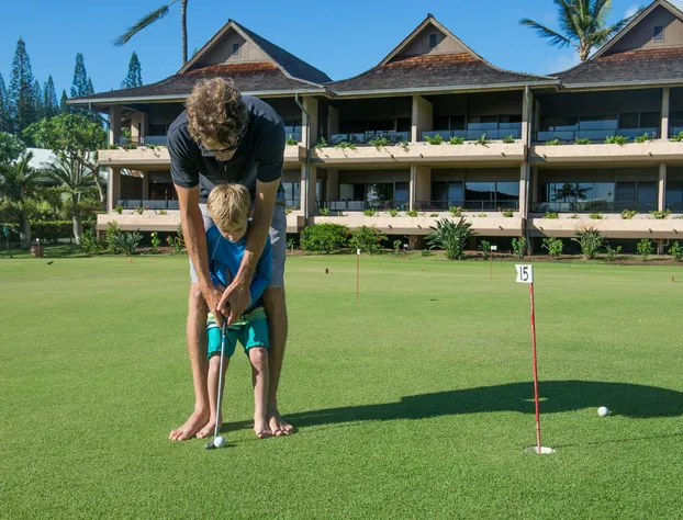 Napili Kai Beach Resort hotel detail image 4