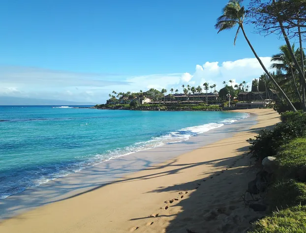 Napili Kai Beach Resort hotel detail image 4