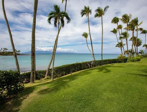 Napili Kai Beach Resort hotel detail image 2