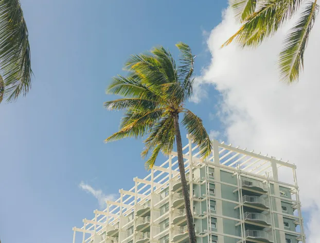 The Kahala Hotel & Resort hotel detail image 2