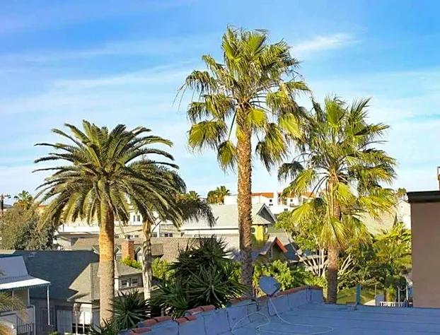 Cadillac Hotel hotel detail image 4