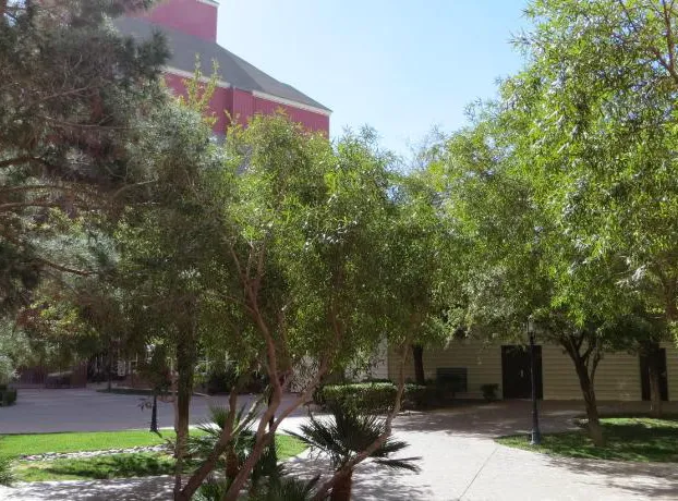 Buffalo Bill's Resort & Casino, a Travelodge by Wyndham hotel detail image 3