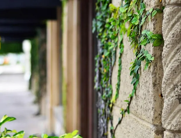 Hotel St. Michel hotel detail image 1