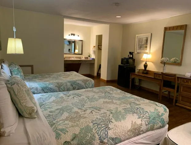 Cape Pines Motel hotel detail image 4