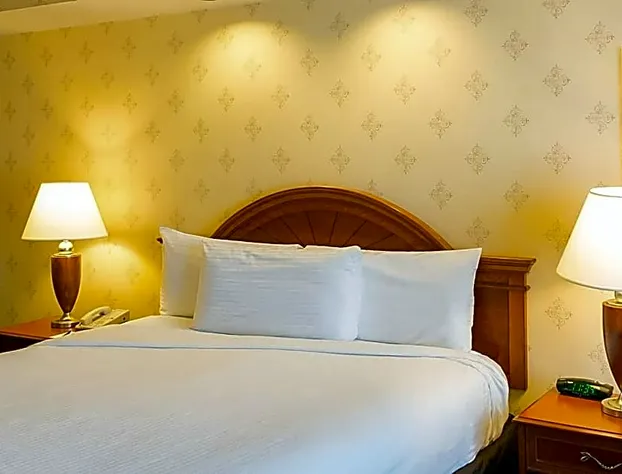 Ameristar Casino Hotel Kansas City hotel detail image 3