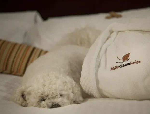 Molly Gibson Lodge hotel detail image 2