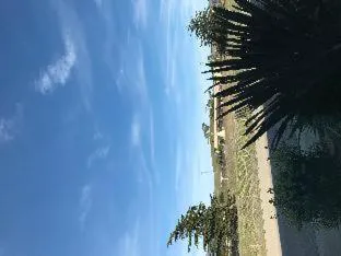 The Morgan San Simeon - Cambria by Hearst Castle hotel detail image 2