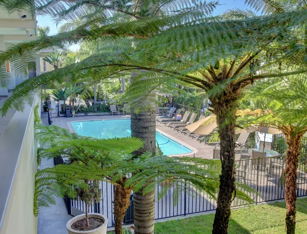 La Avenida Inn hotel detail image 3