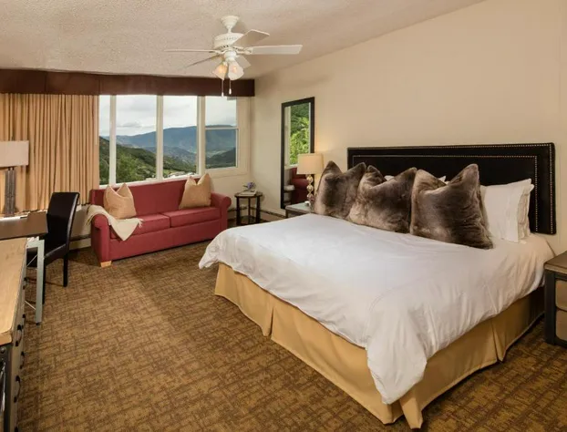 Mountain Chalet Snowmass hotel detail image 4