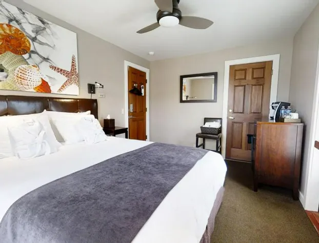 Bird Rock Hotel hotel detail image 2