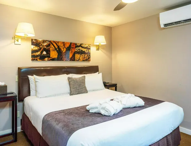 Bird Rock Hotel hotel detail image 3