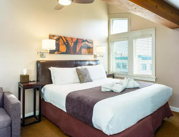 Bird Rock Hotel hotel detail image 4