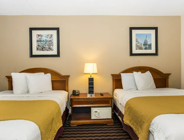 Garden Inn hotel detail image 4