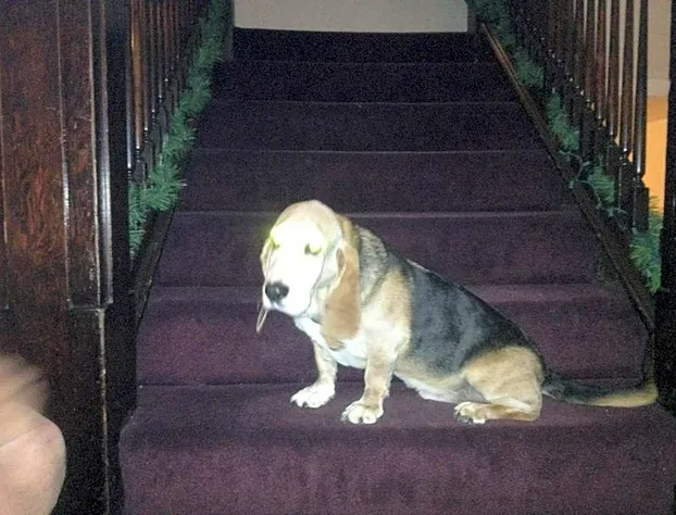 Riverside Hot Springs Inn & Spa - Adults Only hotel detail image 2