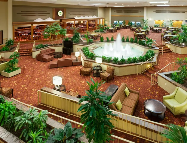 Holiday Inn Cincinnati Airport by IHG hotel detail image 2