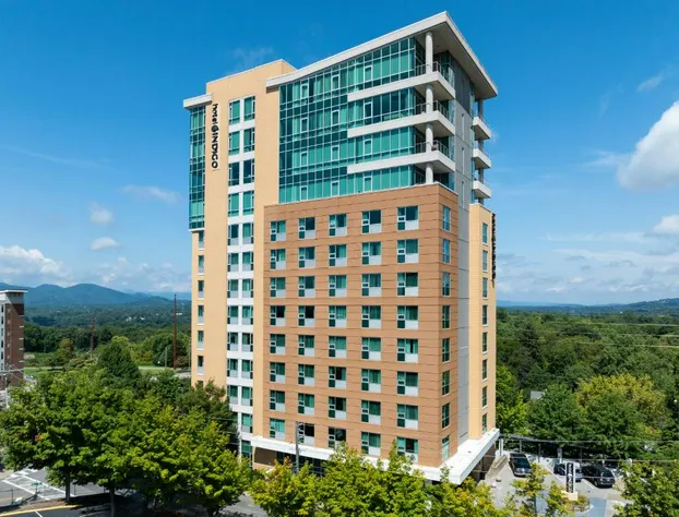 Hotel Indigo Asheville Downtown by IHG hotel detail image 2