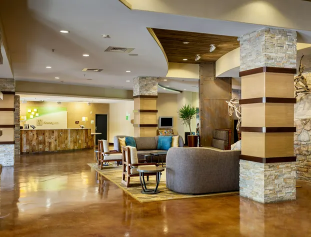 Holiday Inn San Antonio Seaworld by IHG hotel detail image 4