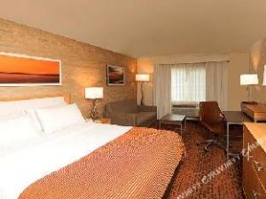 Holiday Inn San Antonio-Dwtn (Market SQ) hotel detail image 2