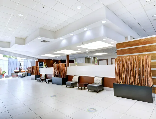 Holiday Inn St Petersburg N - Clearwater by IHG hotel detail image 4