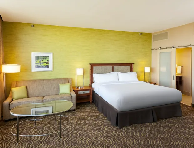 Holiday Inn Austin -Town Lake by IHG hotel detail image 4