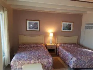 Siesta Motel hotel detail image 4