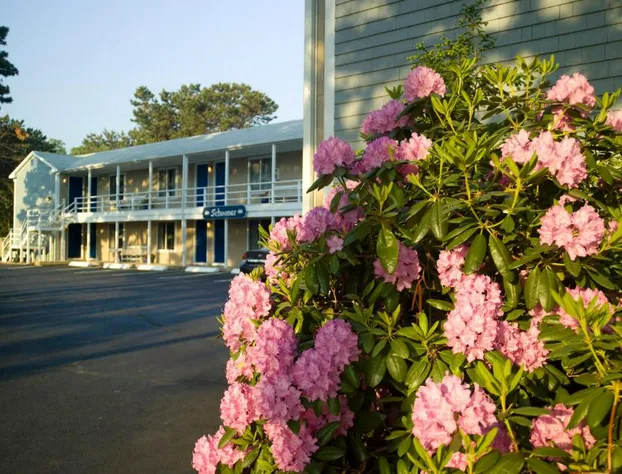 Southfleet Motor Inn hotel detail image 1