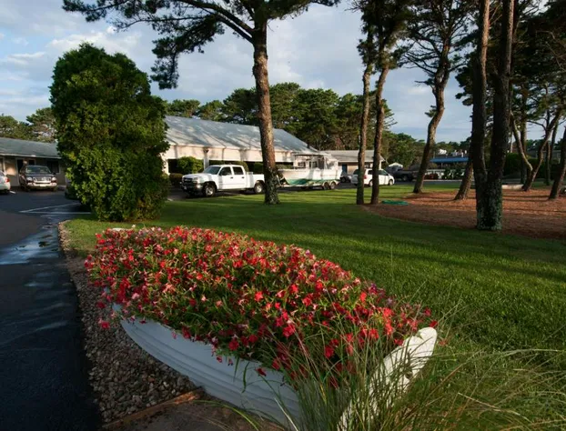 Southfleet Motor Inn hotel detail image 3