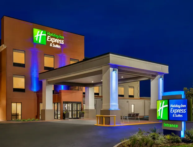 Holiday Inn Express & Suites Opelousas by IHG hotel detail image 1