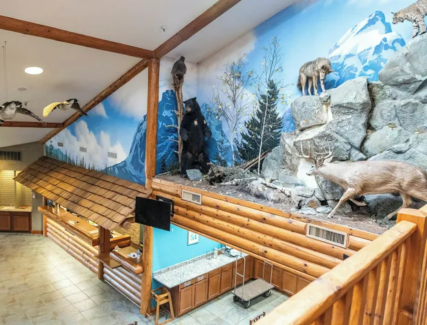 Splash Universe Resort hotel detail image 3