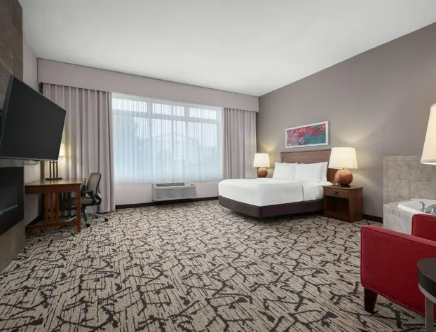 Holiday Inn Stevens Point - Convention Ctr by IHG hotel detail image 3