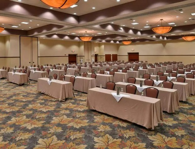 Holiday Inn Stevens Point - Convention Ctr by IHG hotel detail image 4