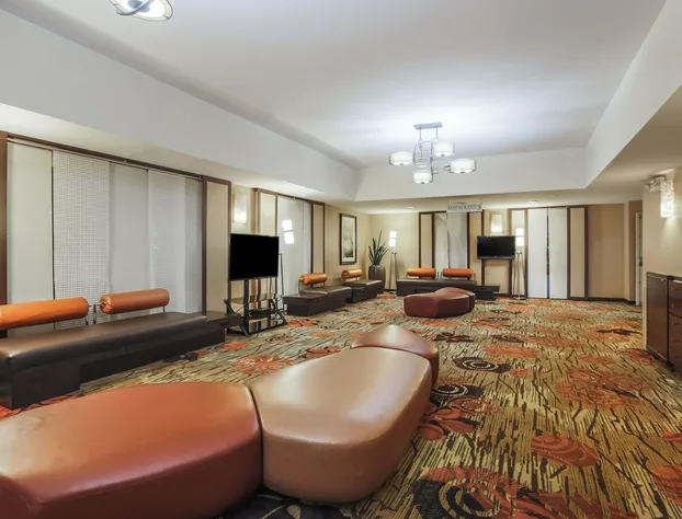 Holiday Inn Dublin-Pleasanton by IHG hotel detail image 4