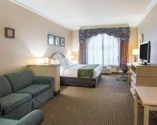 Comfort Suites Kingwood Houston North hotel detail image 3