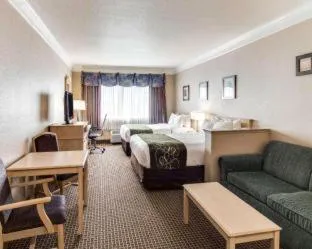 Comfort Suites Kingwood Houston North hotel detail image 3