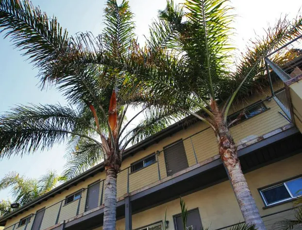 The M Malibu hotel detail image 1