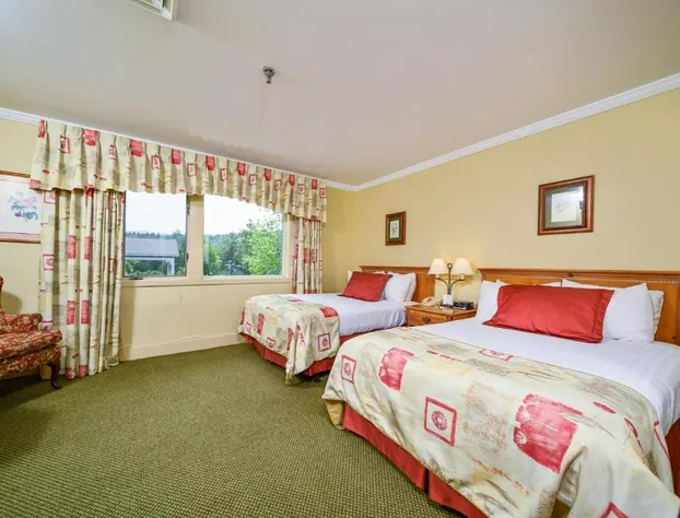 Stoweflake Mountain Resort & Spa hotel detail image 1