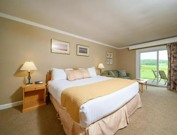 Stoweflake Mountain Resort & Spa hotel detail image 3