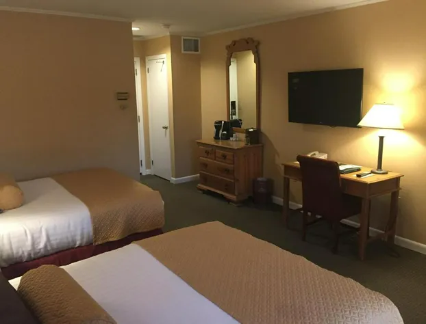 Stoweflake Mountain Resort & Spa hotel detail image 4