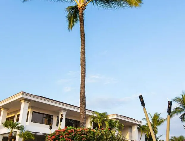 Maui Coast Hotel hotel detail image 2