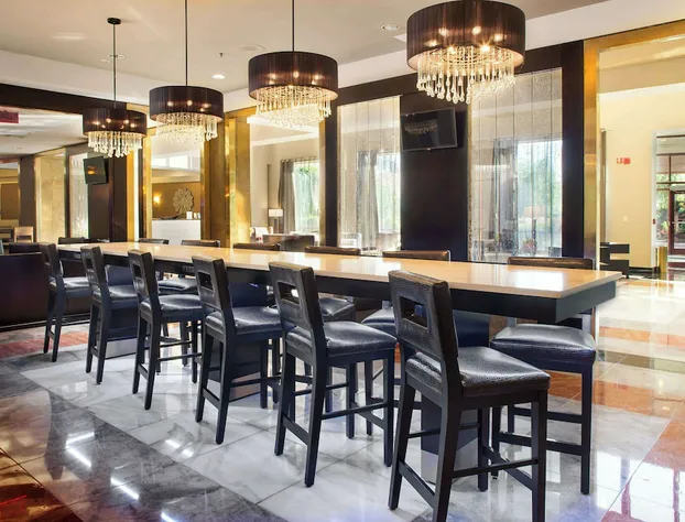 LaGuardia Plaza Hotel hotel detail image 4