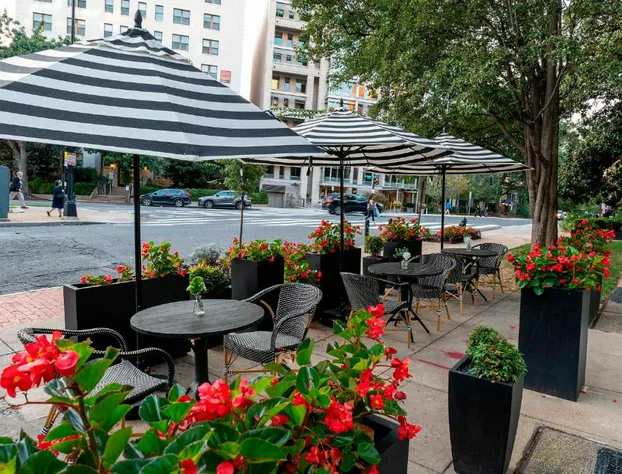 Eurostars Saint Gregory Dupont Circle Georgetown hotel detail image 2