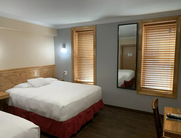 The Baron Hotel hotel detail image 4