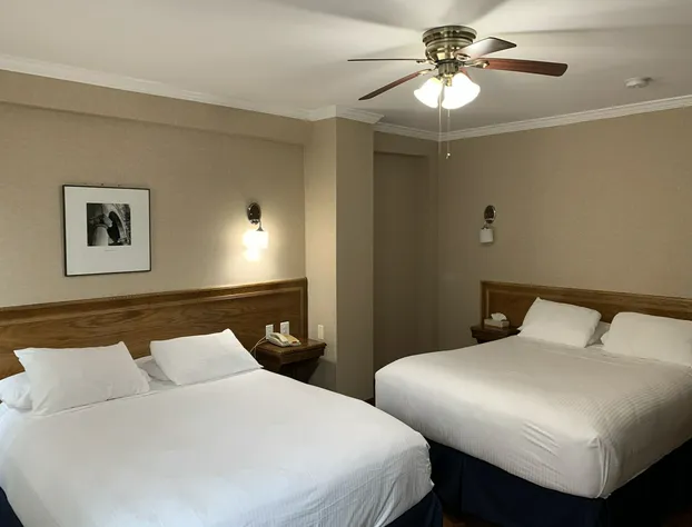The Baron Hotel hotel detail image 3