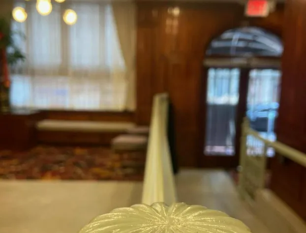Mayfair New York hotel detail image 3